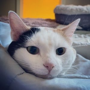 Meet your Posher, Erica